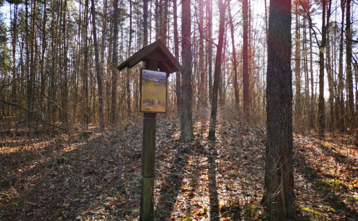14_Degsnės, Labotiškių pilkapynai (1).jpg
